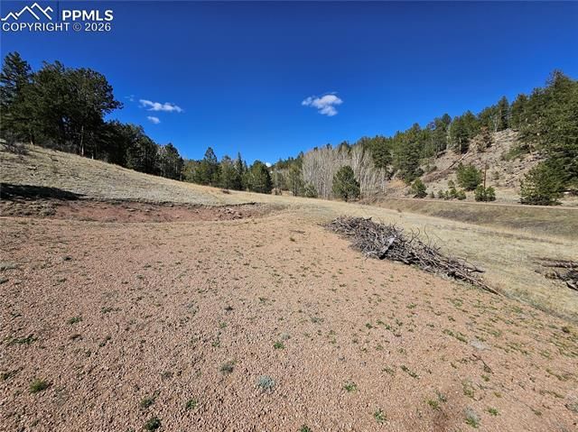 717 Canyon Drive, Florissant, CO 80816