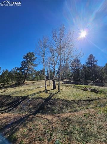 717 Canyon Drive, Florissant, CO 80816