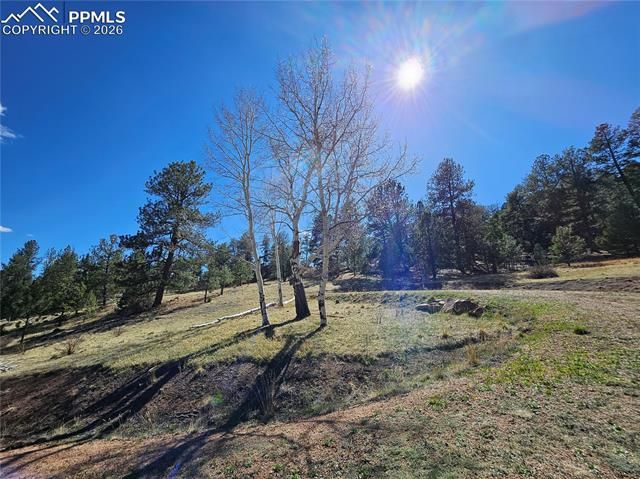 717 Canyon Drive, Florissant, CO 80816