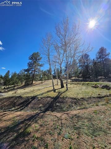 717 Canyon Drive, Florissant, CO 80816