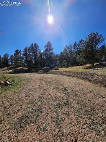 717 Canyon Drive, Florissant, CO 80816