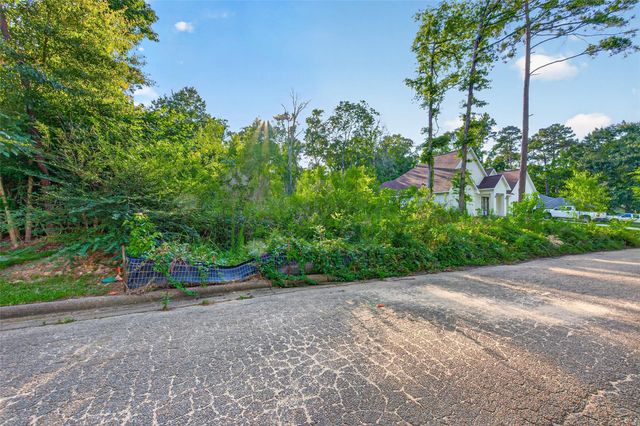 0 Mustang Avenue, Willis, TX 77378
