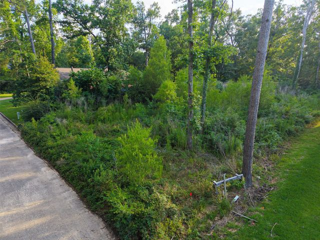 0 Mustang Avenue, Willis, TX 77378