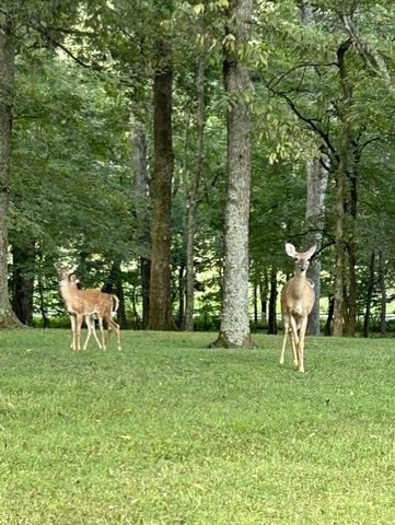 1023 Mount Olivet Rd, Hendersonville, TN 37075