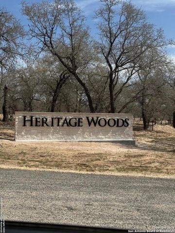 132 Syrah St, La Vernia, TX 78121