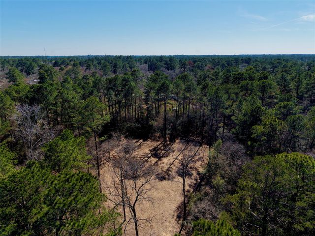 17819 Indigo Hills Drive, Magnolia, TX 77355