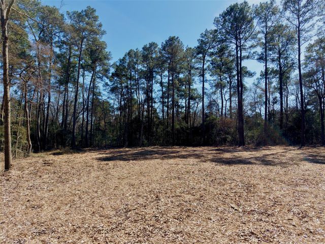 17819 Indigo Hills Drive, Magnolia, TX 77355