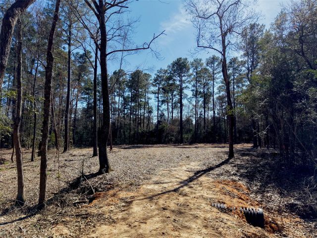 17819 Indigo Hills Drive, Magnolia, TX 77355