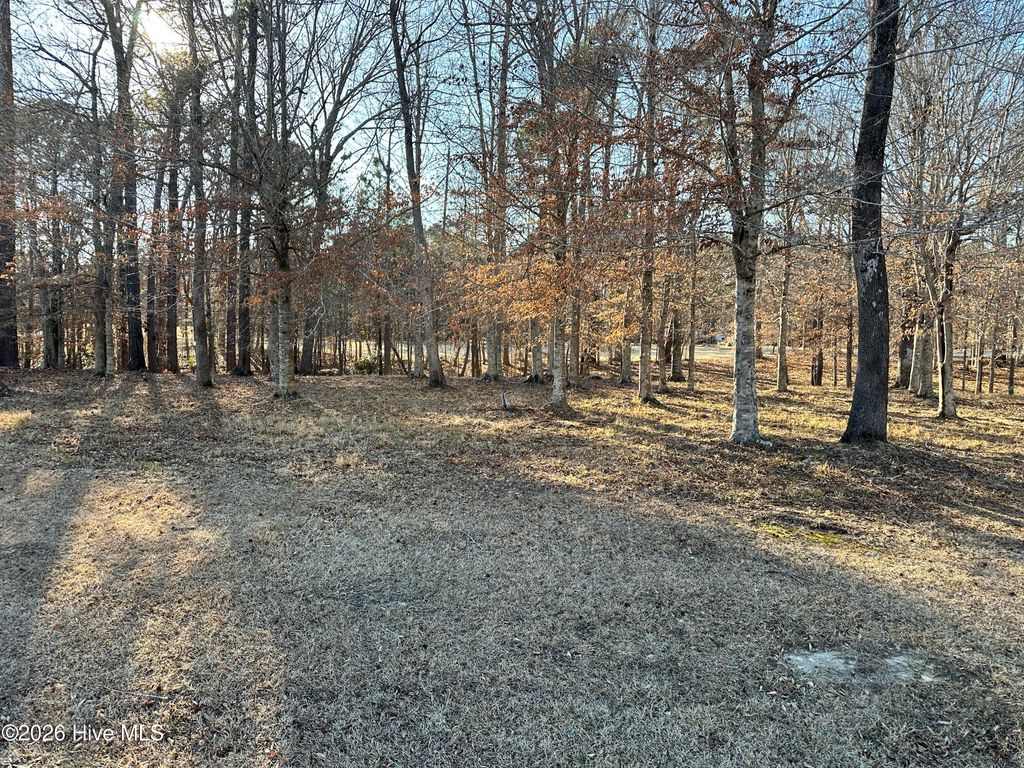 173 Roanoke Drive, Hertford, NC 27944