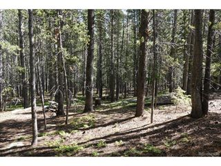 0 Upper Forest Rd, Idaho Springs, CO 80452