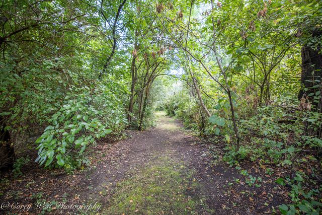 S243 Rowe Road, Elburn, IL 60119