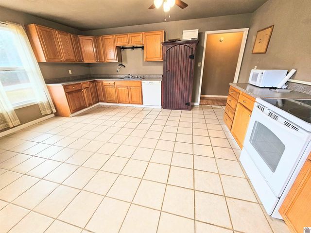 218 mountain rd, Grand Rivers, KY 42045