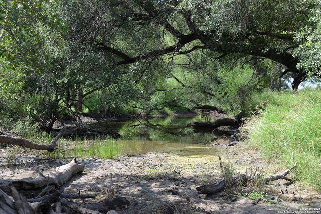 16070 FM 140, Pearsall, TX 78061