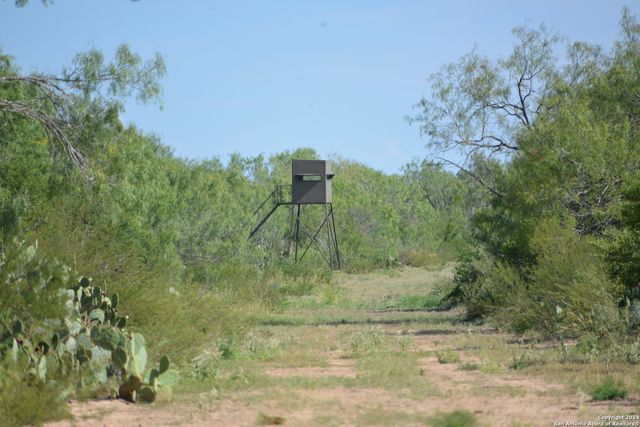 16070 FM 140, Pearsall, TX 78061