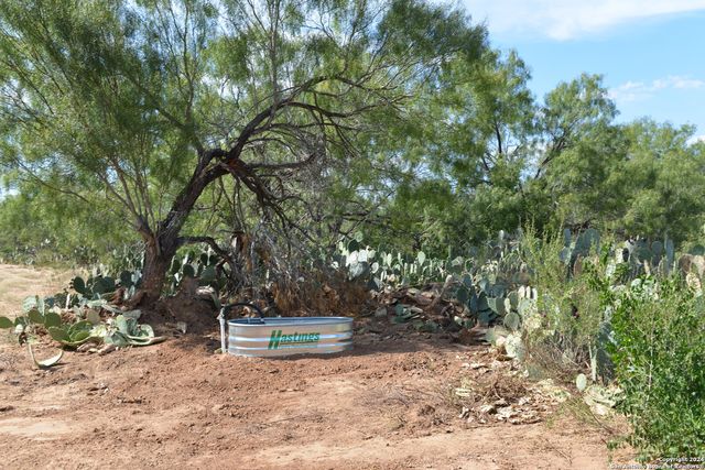 16070 FM 140, Pearsall, TX 78061