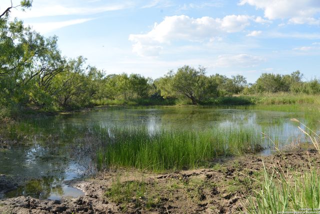 16070 FM 140, Pearsall, TX 78061