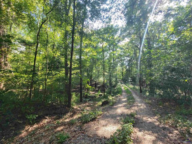 319 Riverside Drive, Hawkinsville, GA 31036