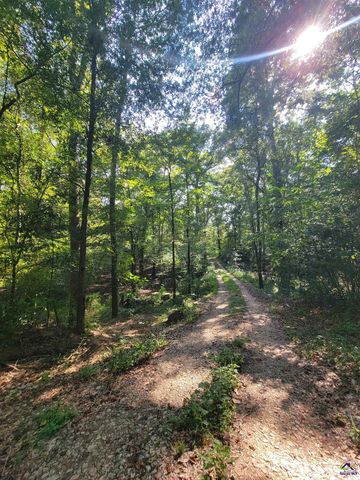 319 Riverside Drive, Hawkinsville, GA 31036