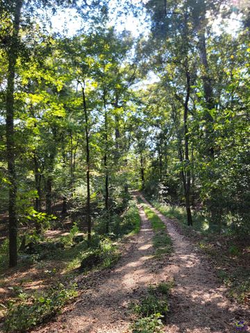 319 Riverside Drive, Hawkinsville, GA 31036