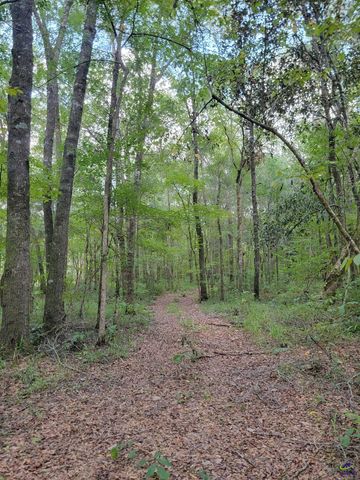 319 Riverside Drive, Hawkinsville, GA 31036