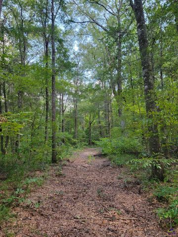 319 Riverside Drive, Hawkinsville, GA 31036