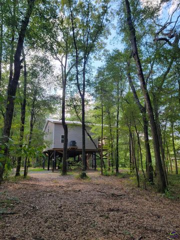 319 Riverside Drive, Hawkinsville, GA 31036