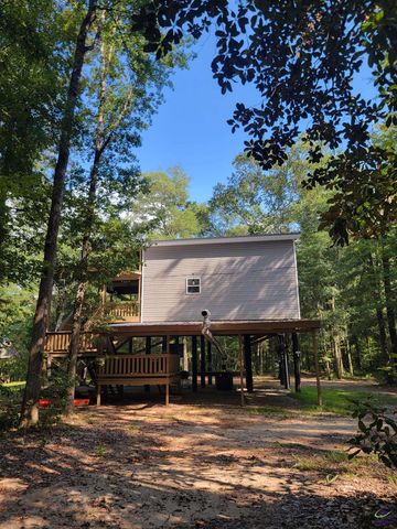 319 Riverside Drive, Hawkinsville, GA 31036