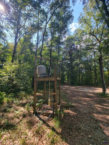 319 Riverside Drive, Hawkinsville, GA 31036