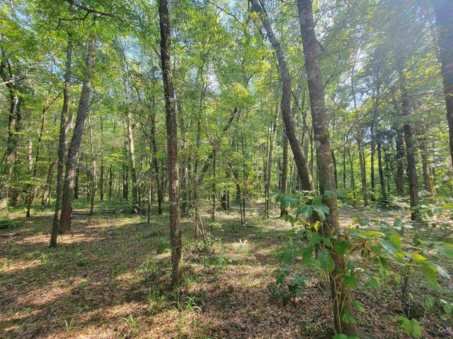 319 Riverside Drive, Hawkinsville, GA 31036