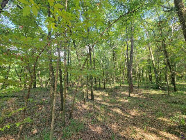 319 Riverside Drive, Hawkinsville, GA 31036