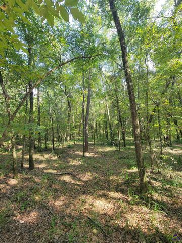 319 Riverside Drive, Hawkinsville, GA 31036