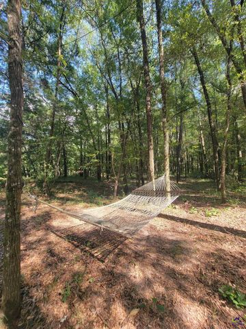 319 Riverside Drive, Hawkinsville, GA 31036