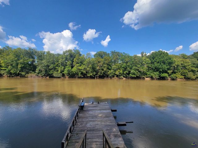 319 Riverside Drive, Hawkinsville, GA 31036