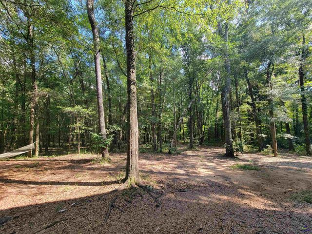 319 Riverside Drive, Hawkinsville, GA 31036