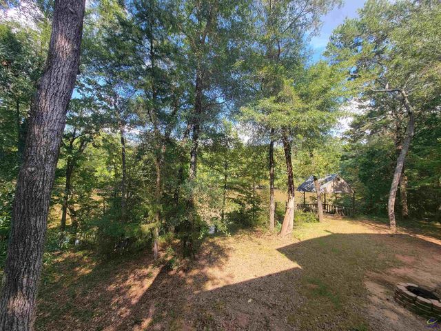 319 Riverside Drive, Hawkinsville, GA 31036