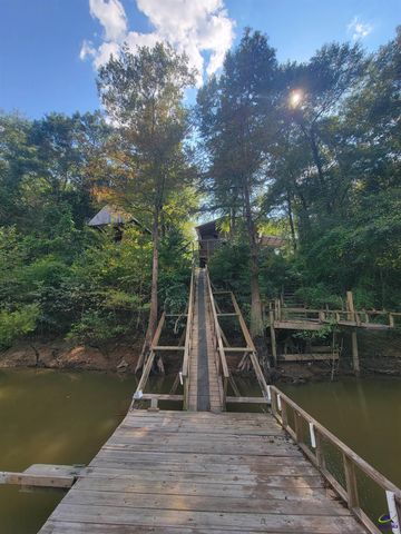 319 Riverside Drive, Hawkinsville, GA 31036