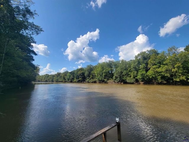 319 Riverside Drive, Hawkinsville, GA 31036