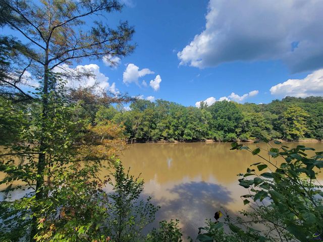 319 Riverside Drive, Hawkinsville, GA 31036