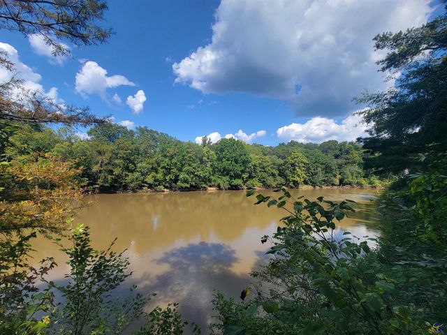 319 Riverside Drive, Hawkinsville, GA 31036