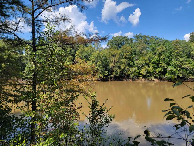 319 Riverside Drive, Hawkinsville, GA 31036