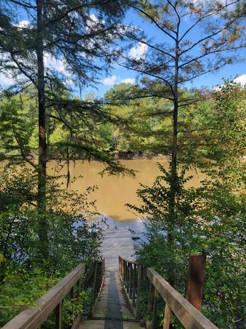 319 Riverside Drive, Hawkinsville, GA 31036