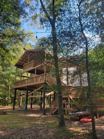 319 Riverside Drive, Hawkinsville, GA 31036