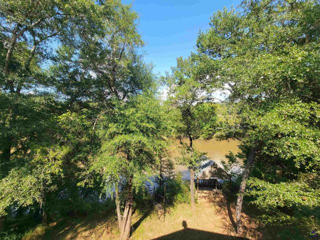 319 Riverside Drive, Hawkinsville, GA 31036