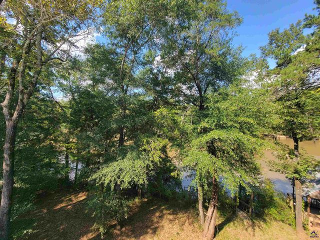 319 Riverside Drive, Hawkinsville, GA 31036