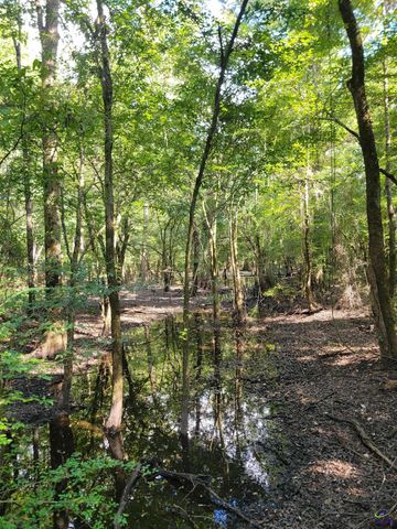 319 Riverside Drive, Hawkinsville, GA 31036