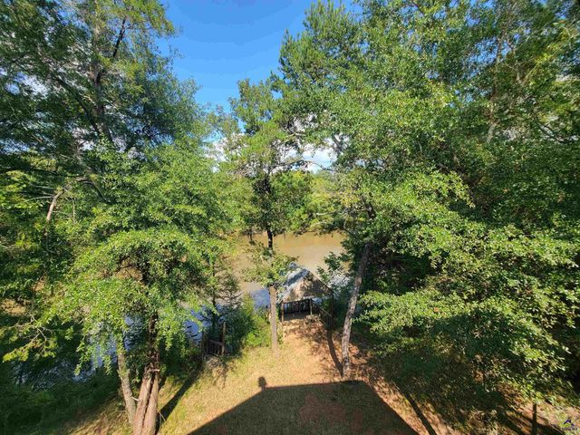 319 Riverside Drive, Hawkinsville, GA 31036