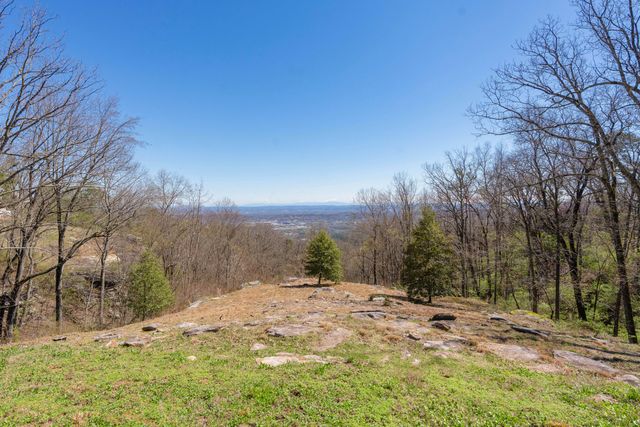 1001 Fleetwood Drive, Lookout Mountain, GA 30750