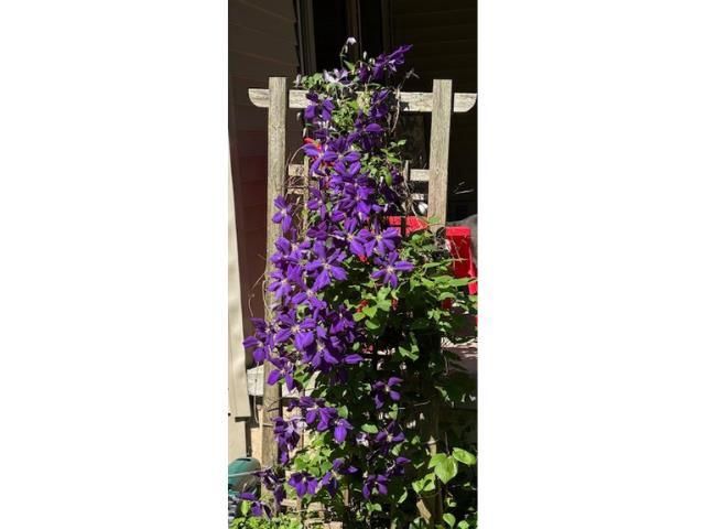 1812 SMOKEY COURT, Suamico, WI 54173