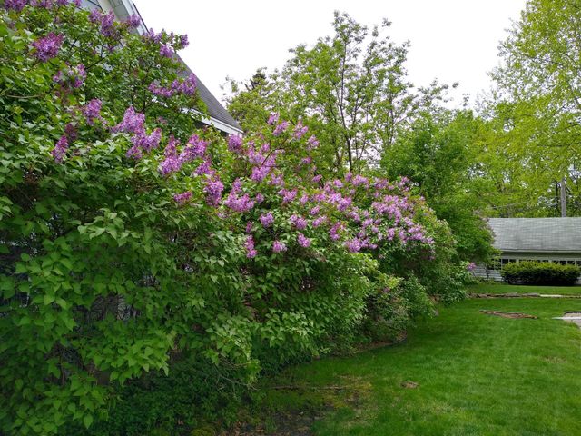 11 Ludlow Avenue, Saint Paul, MN 55108