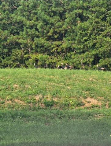 332 Harris Road SE, Old Fort, TN 37362